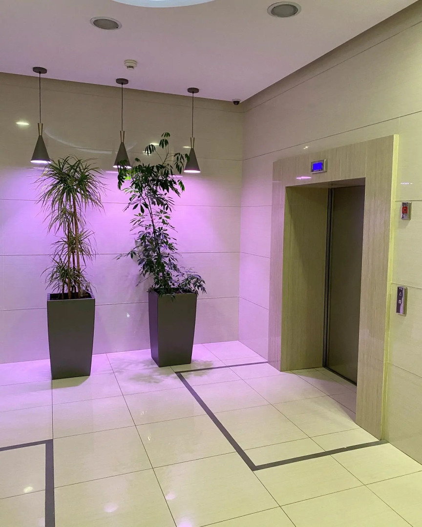 Апартаменты на Набережной Ялты с Видом на Море