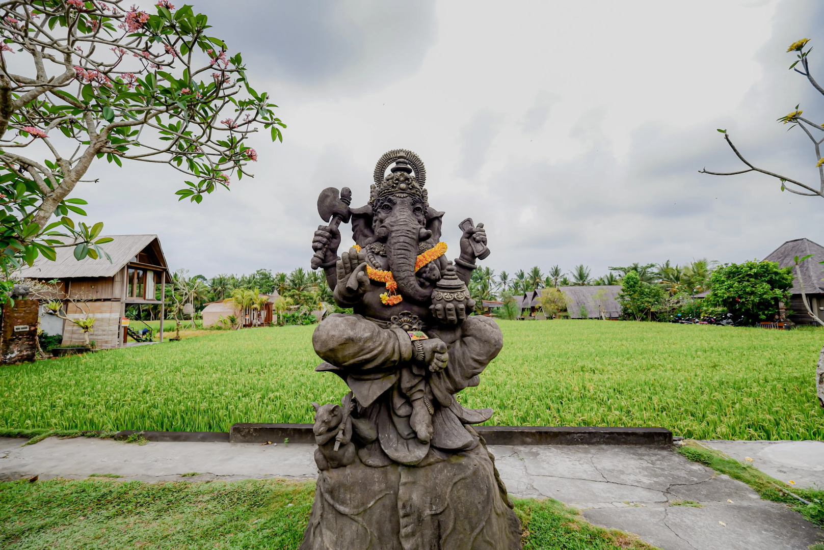 Отель Ubud Rice Field Stay by WAHM Hotel