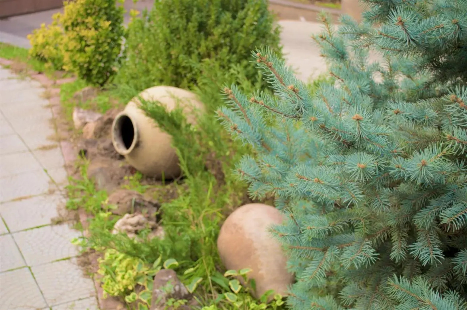 Отель Ivy Boutique