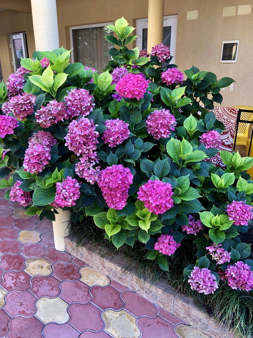 Гостевой Дом Голубая Лагуна