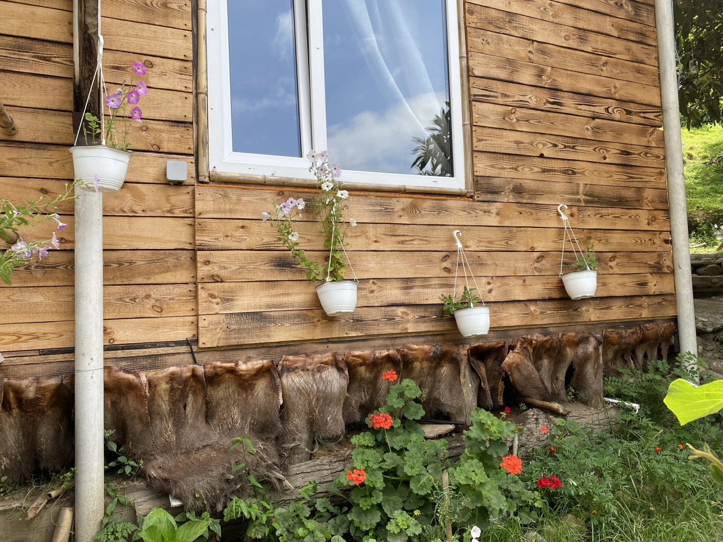 Частный дом Зелёная