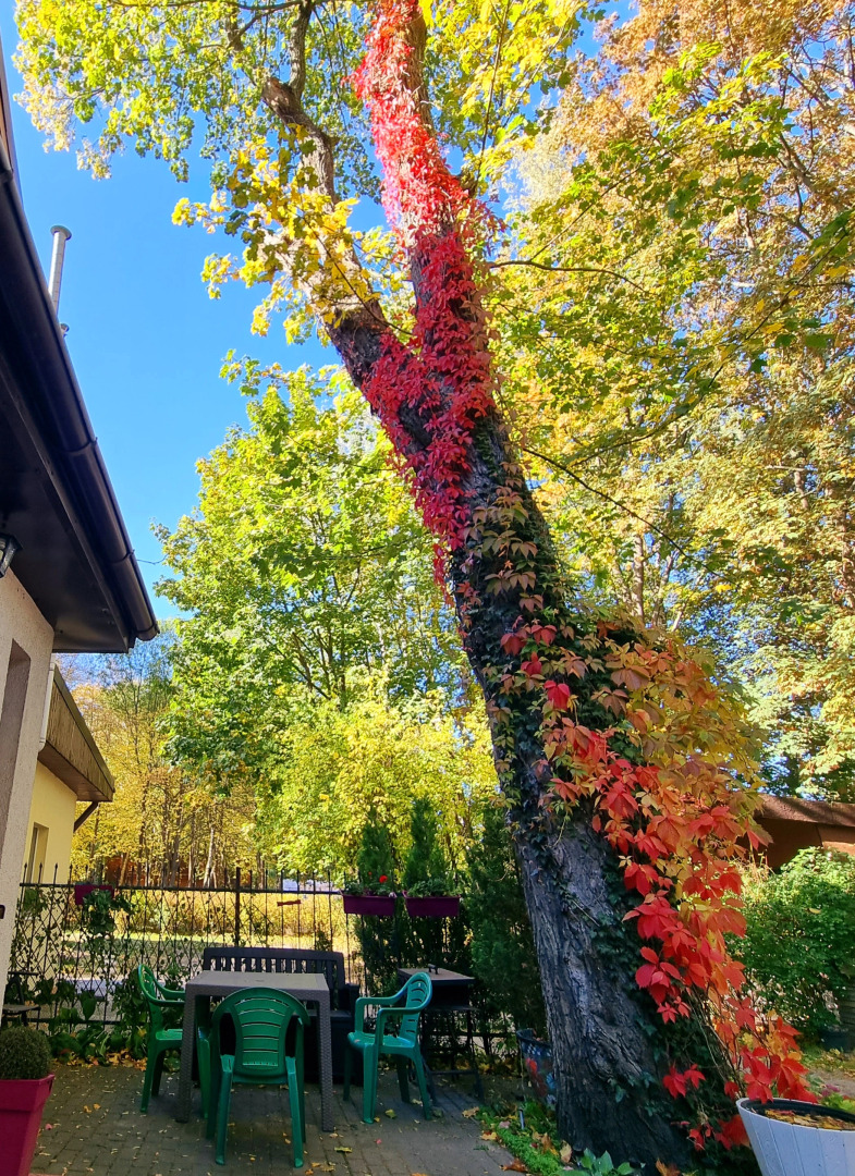 Квартира Апартаменты Амбер в Самом Центре с Отдельным Входом