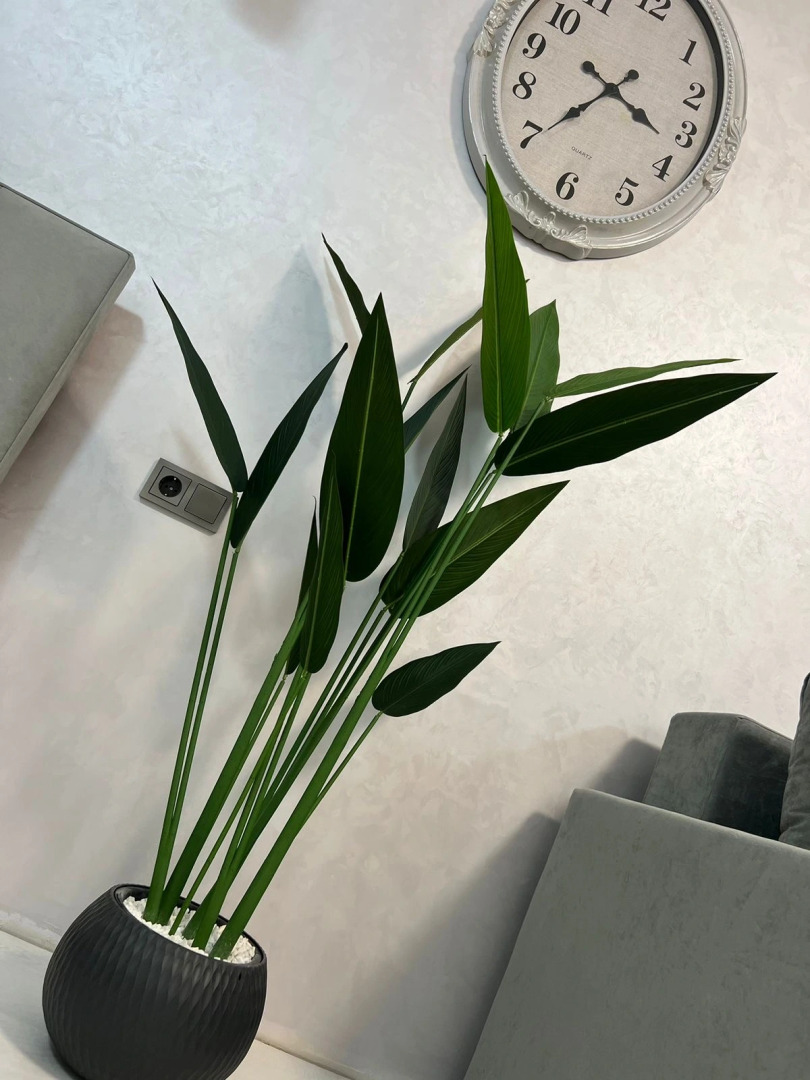 Апартаменты Взморье 3