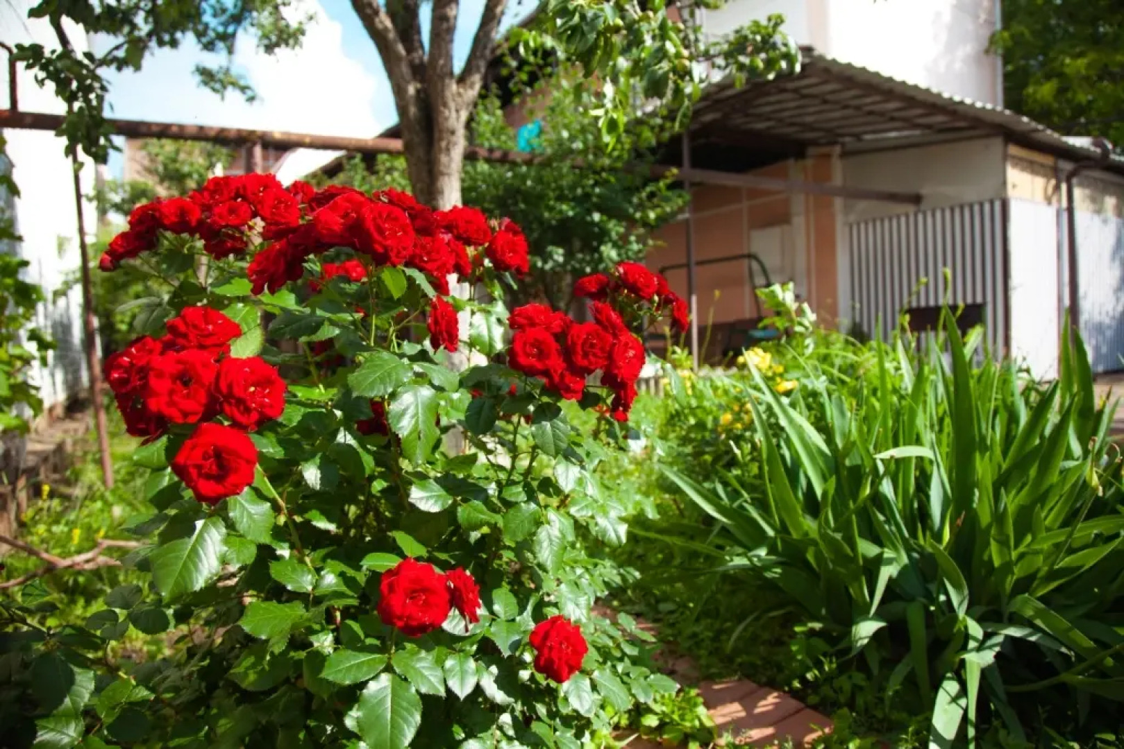 Гостевой дом «Мой дом»