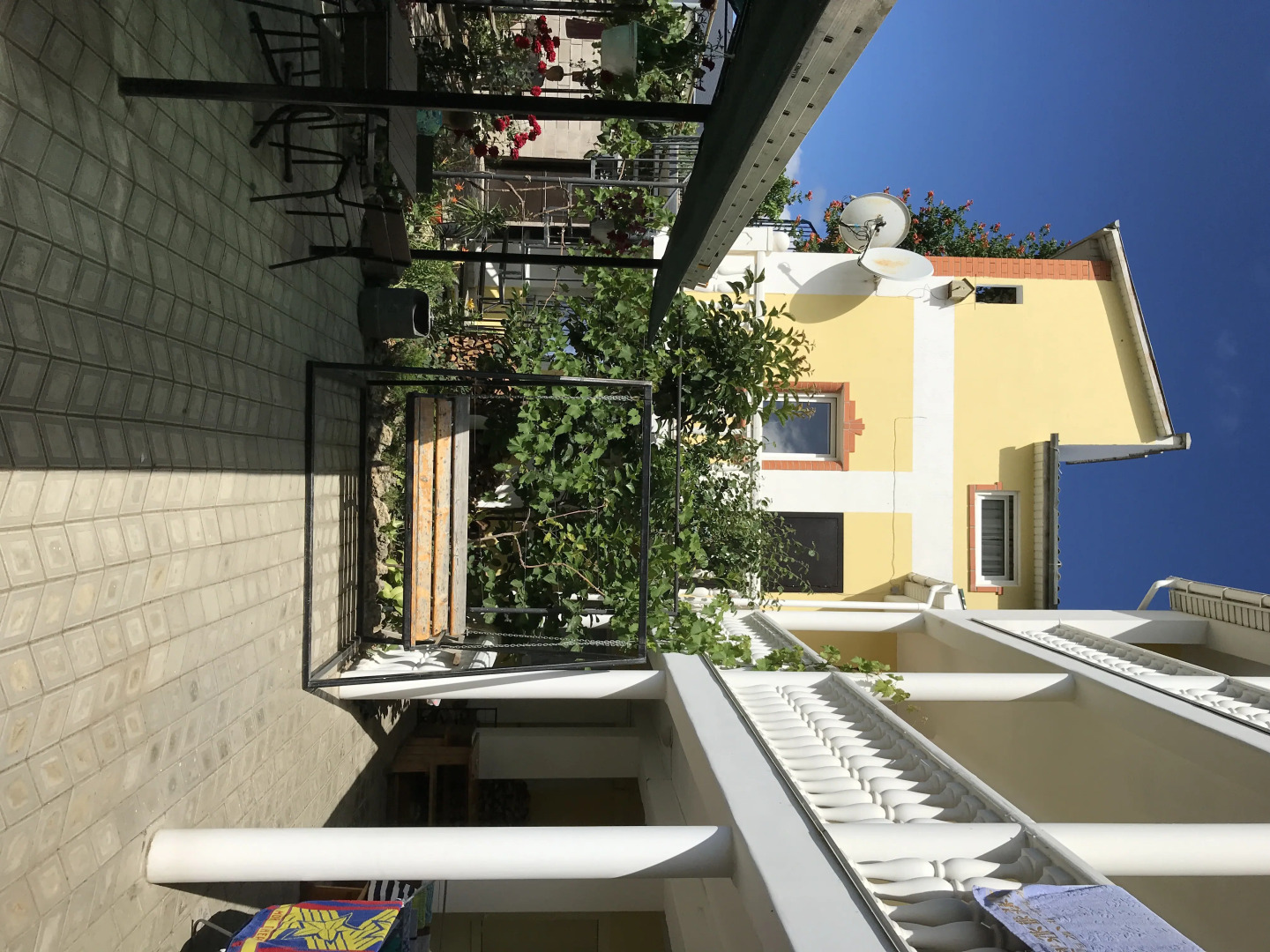 Меблированные комнаты У Чижика