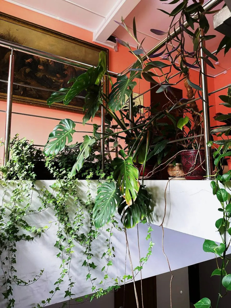 Гостиница Афоня