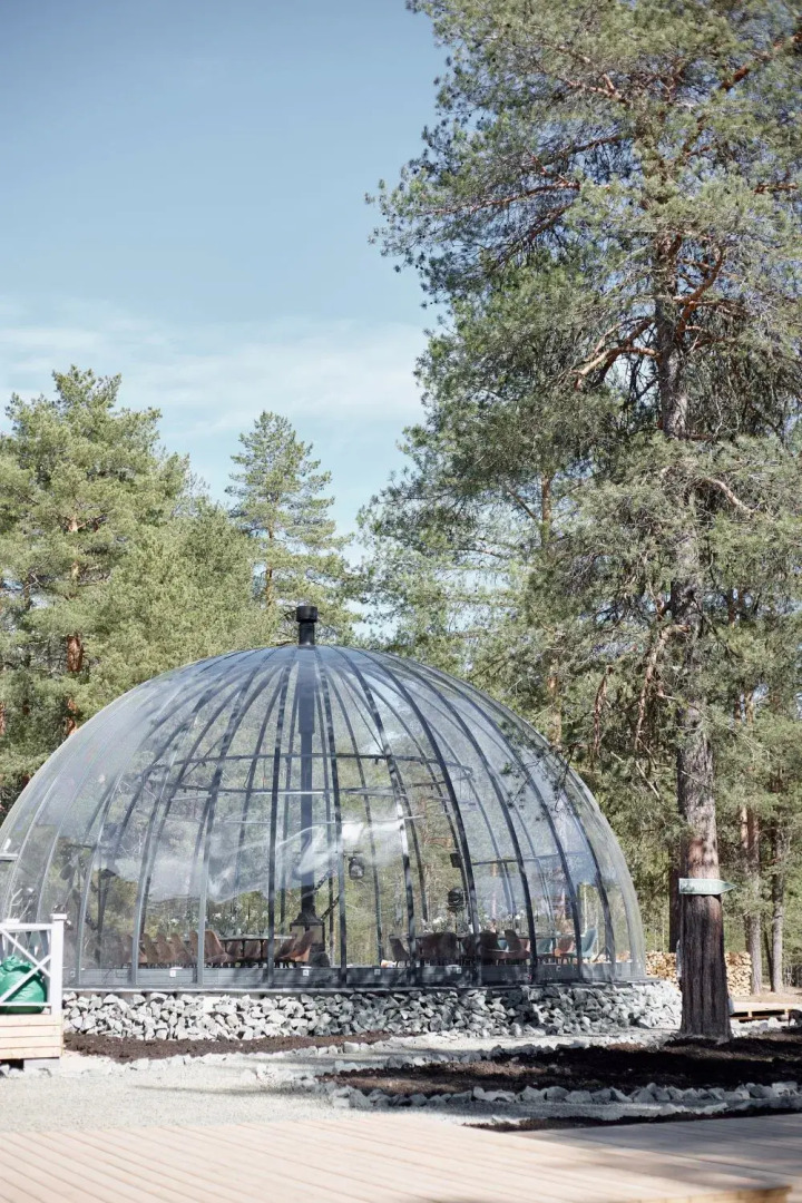 Отель  Хвоя.Карелия