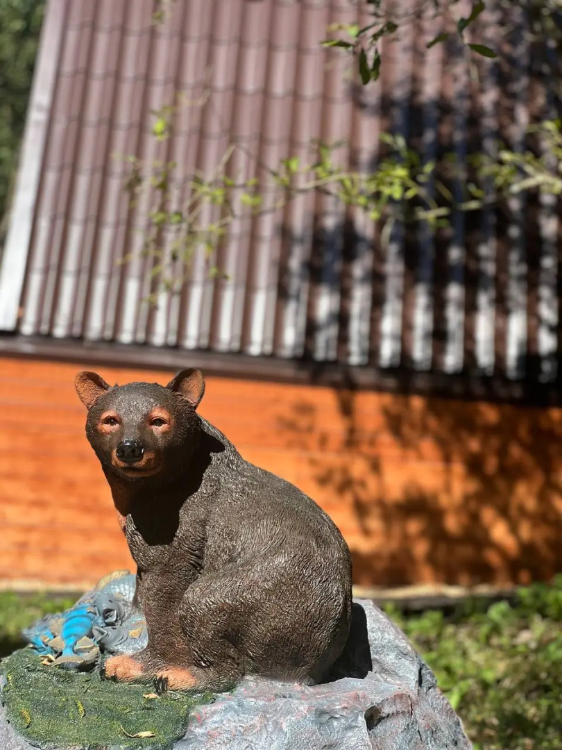 Частный дом Медвежий угол