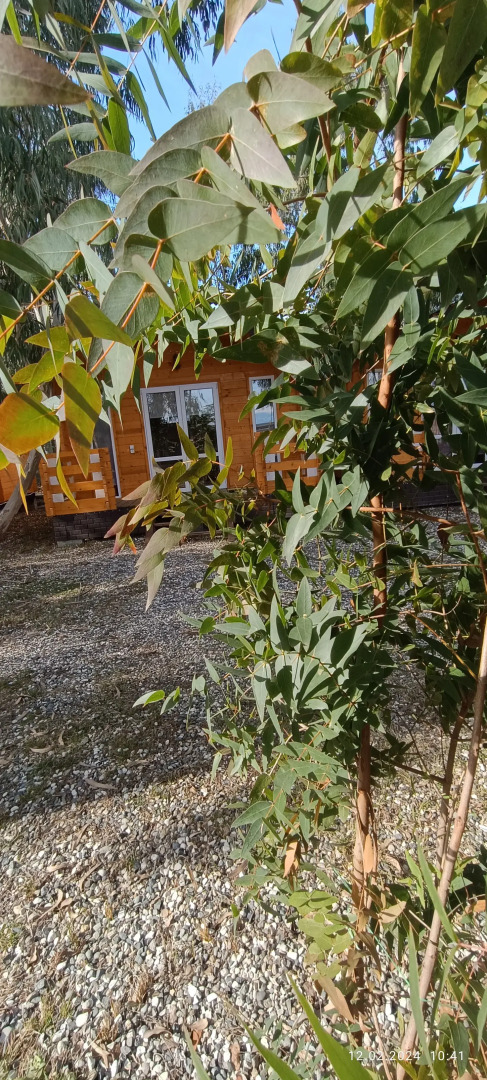 База отдыха Нарт отель