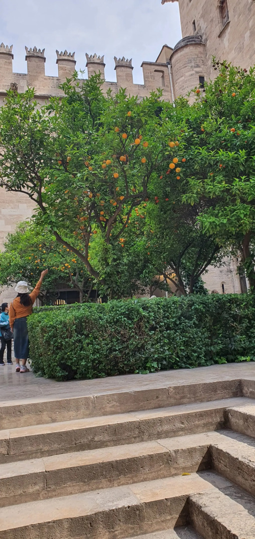 Апартаменты Испания