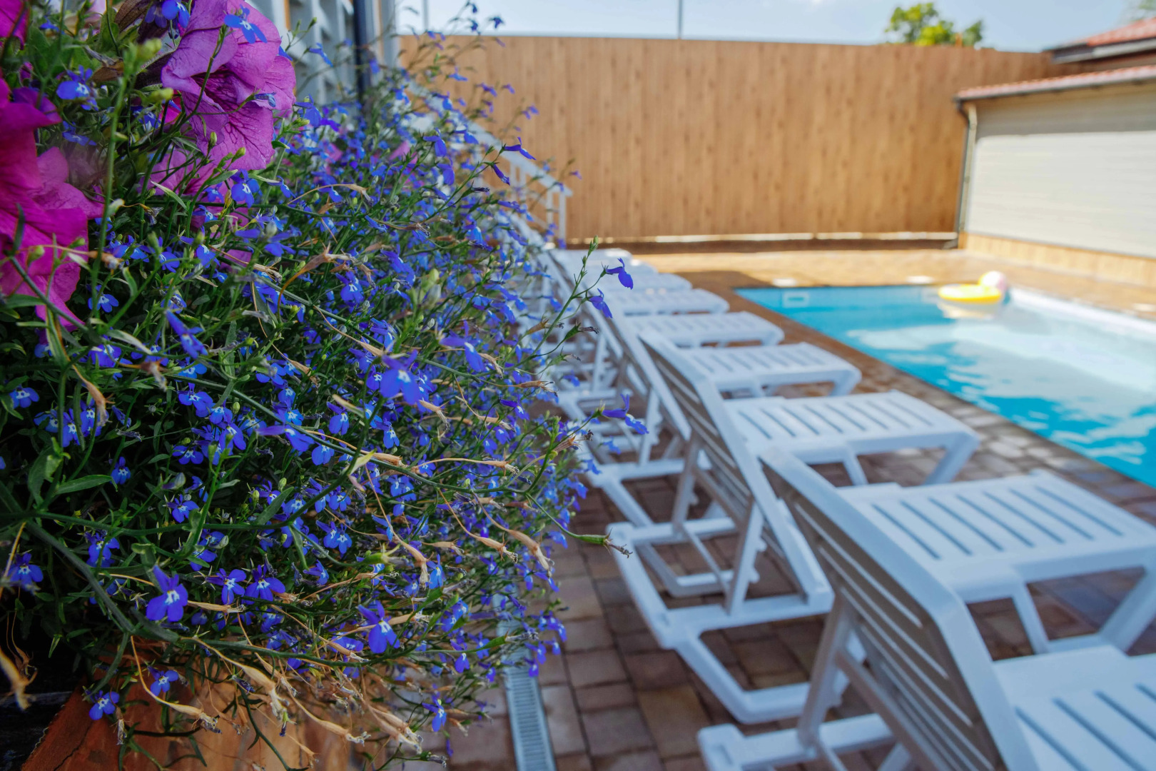 Меблированные комнаты Villa Viola