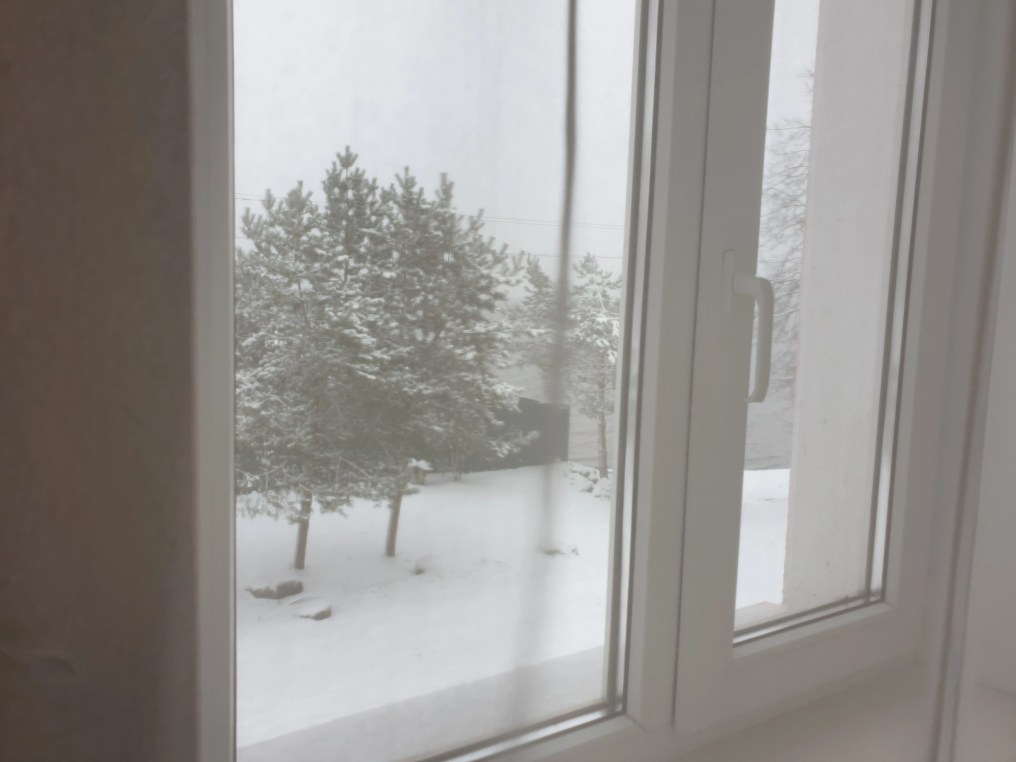 Гостевой Дом Береговая