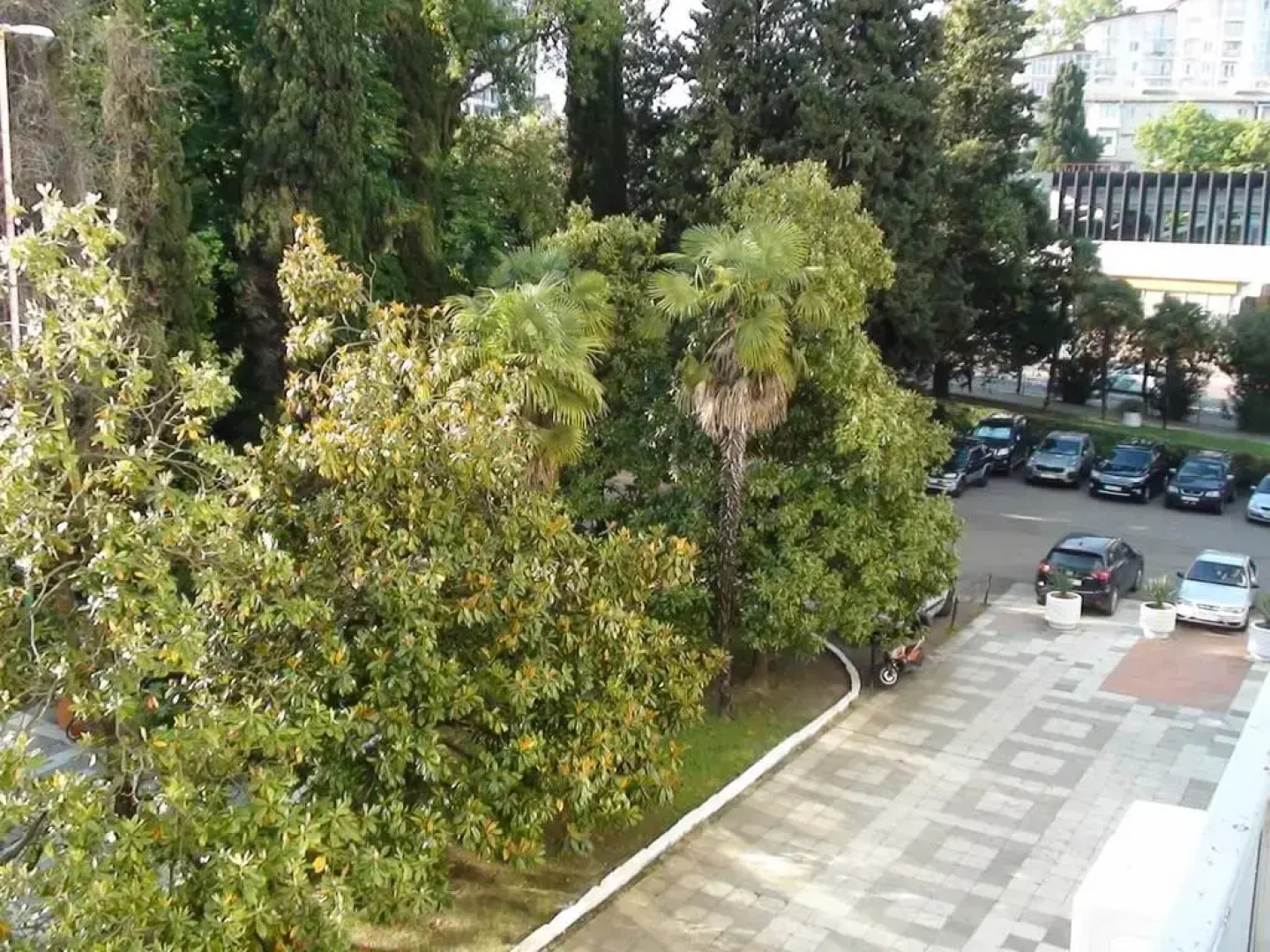 Апартаменты Светлана-Центр с видом на море и восток