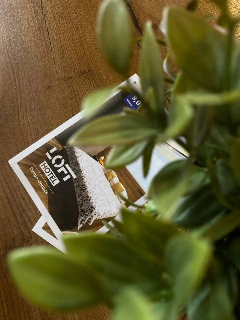 Отель Loft Ptz