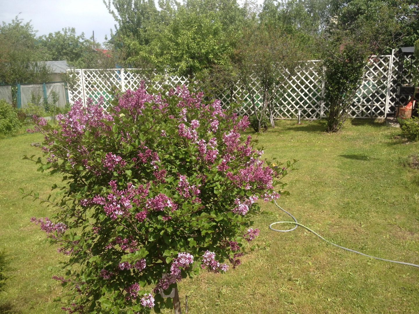 Частный дом Дачный