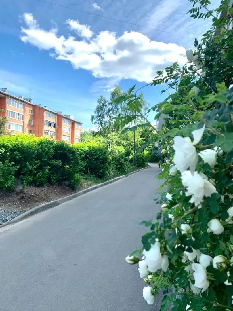 Трехкомнатные апартаменты Live in Karelia на Машезерской 5