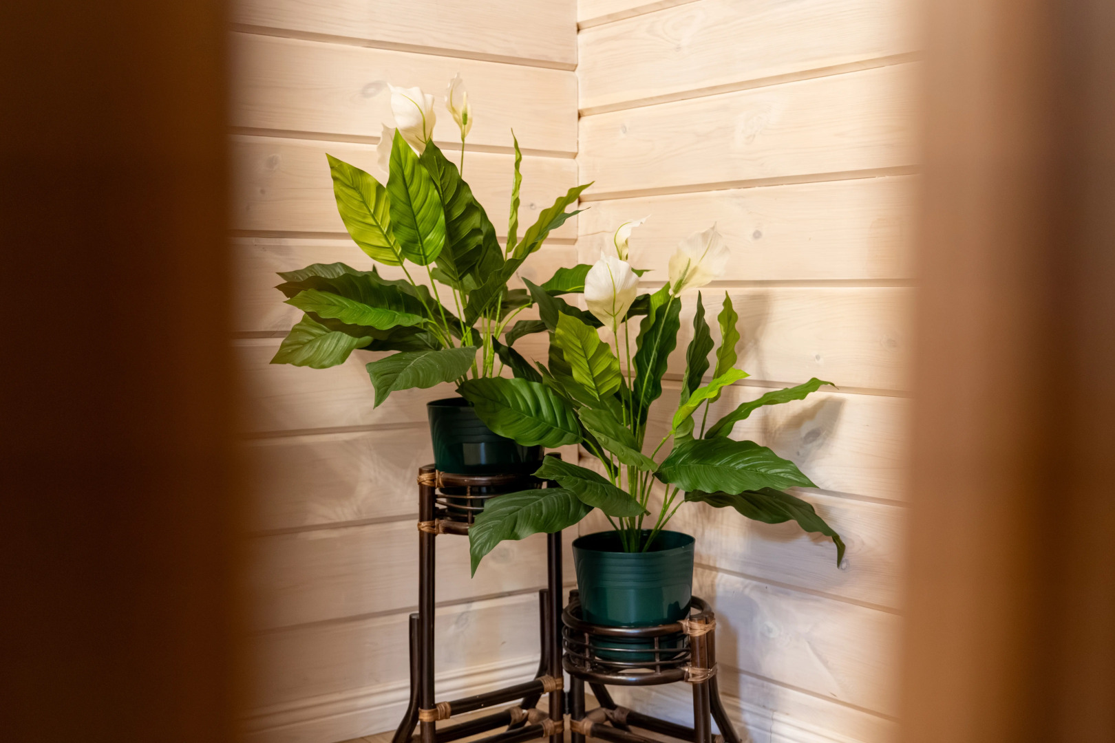 Шале СкайЭль