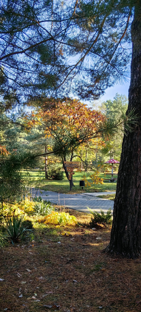 База отдыха Парк Полянка