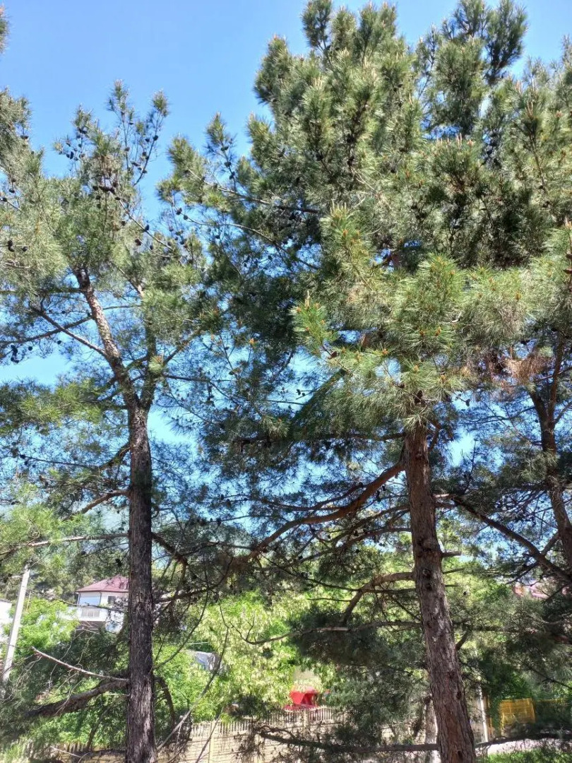 Гостевой дом Людмила