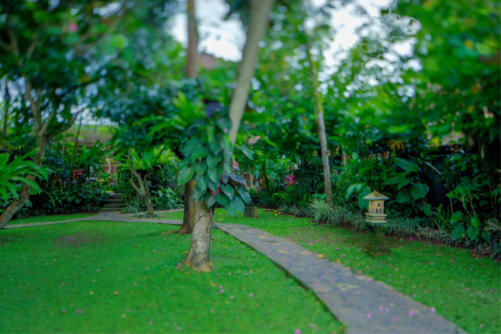 Курортный отель Alas Petulu Cottages