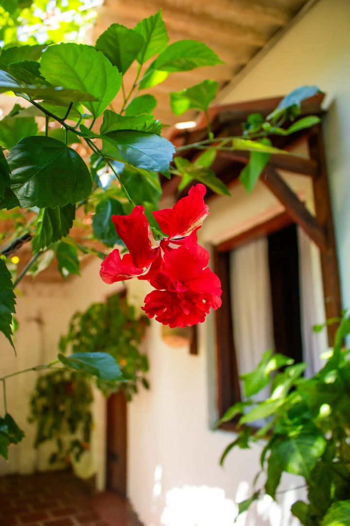 Бутик-отель Casa de Los Santos Reyes Valledupar