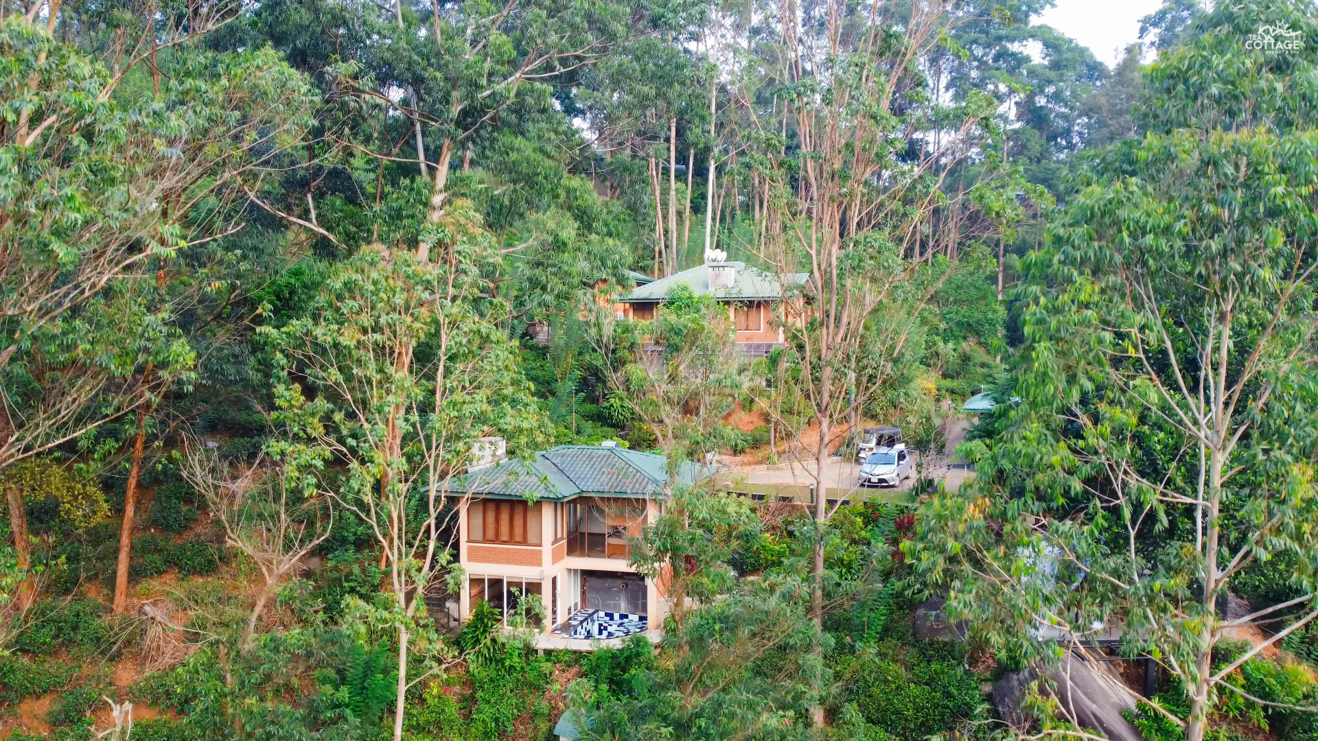 Отель The Tea Cottage Resort & Spa