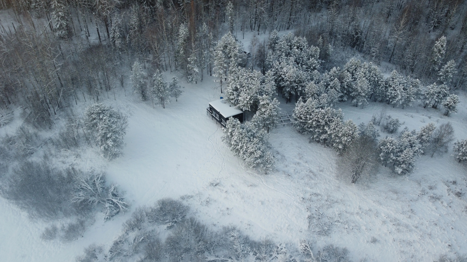 Частный дом Дом отдыха Холмово в диком лесу на берегу реки с панорамными окнами