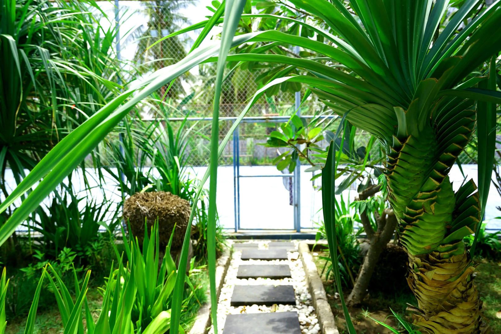 Вилла Senang Private