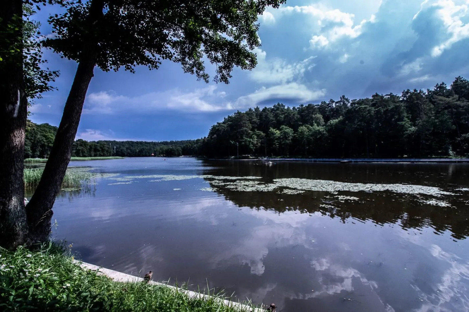 Квартира Светлогорск с Видом на Озеро