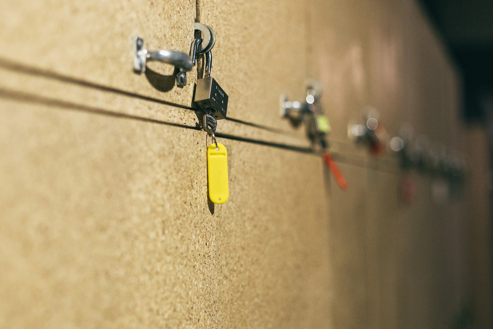 Хостел Хаски