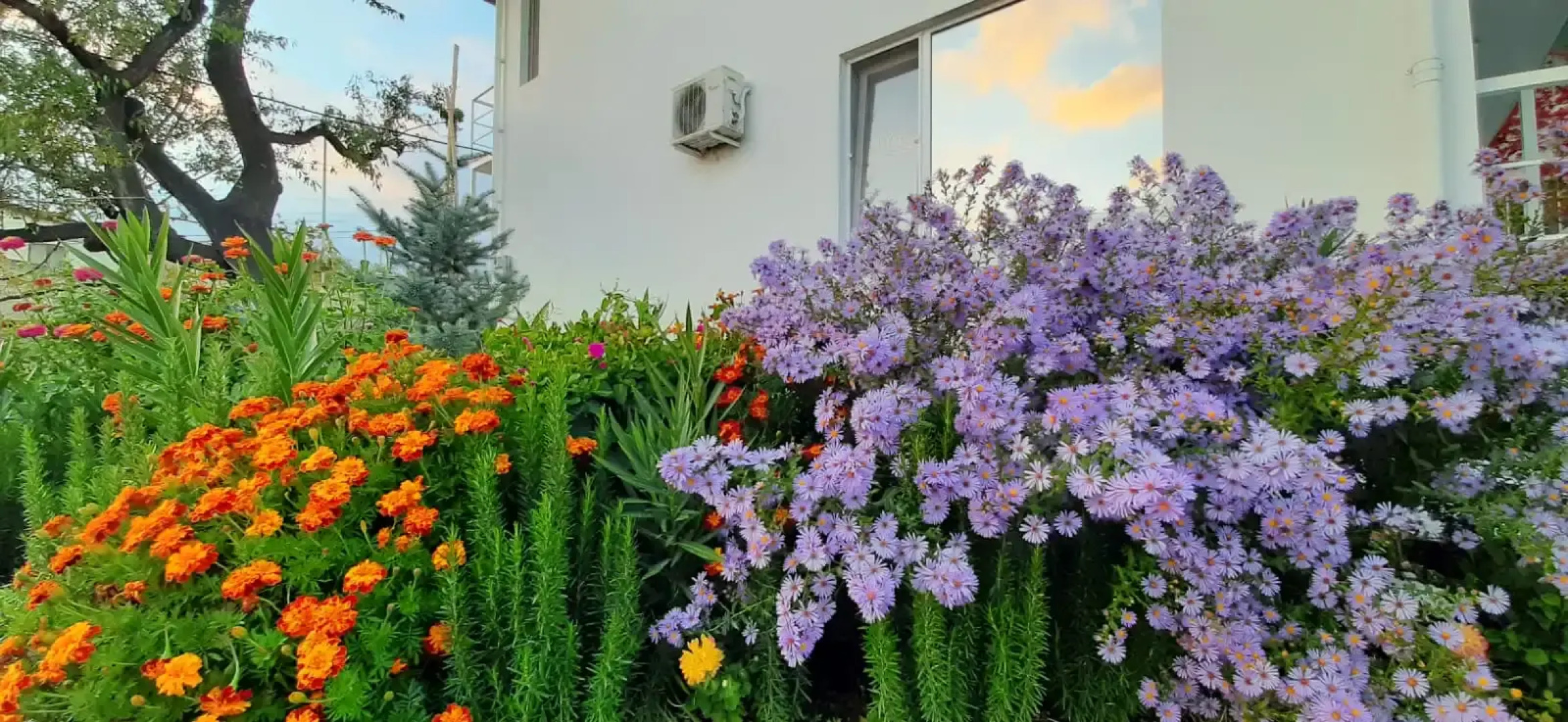 Гостевой дом Sun Hill