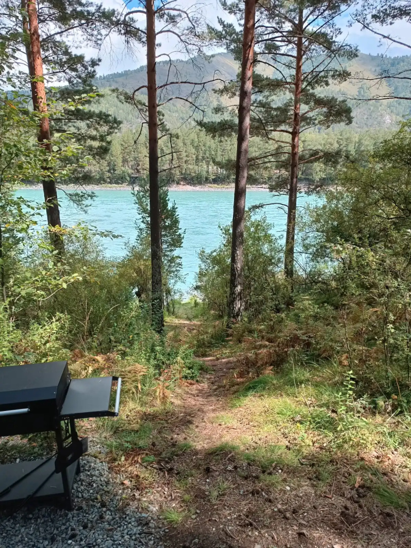 База отдыха Belka Forest House