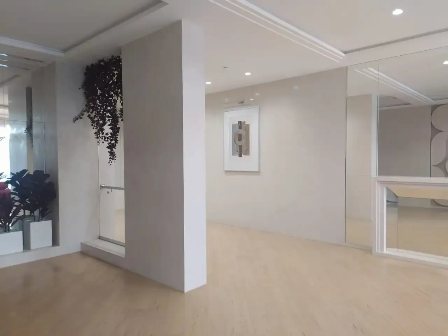 Апартаменты Студия на Державина 50