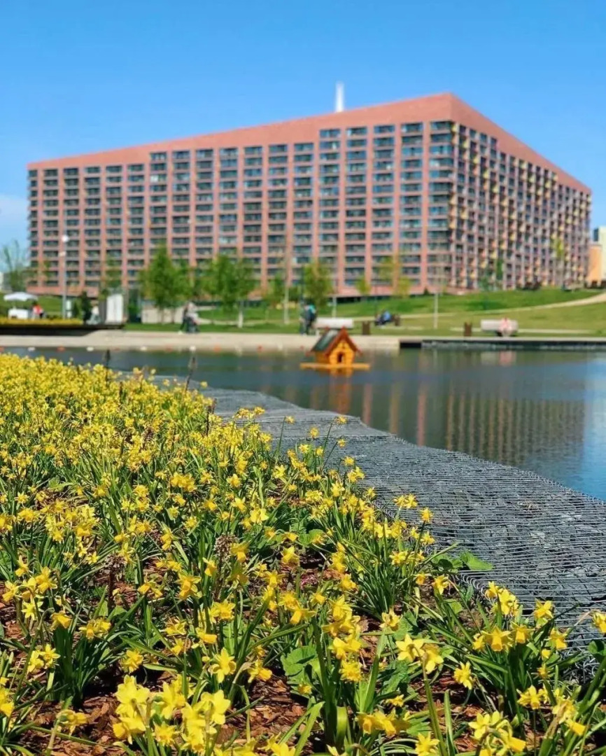 Апартаменты Представительский Люкс с Балконом Elite Apartments