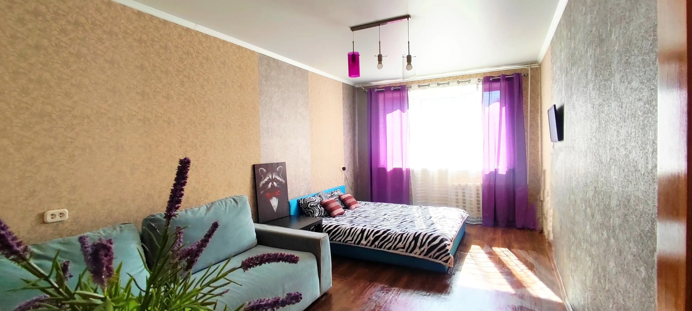 Квартира День и Ночь у Зебры