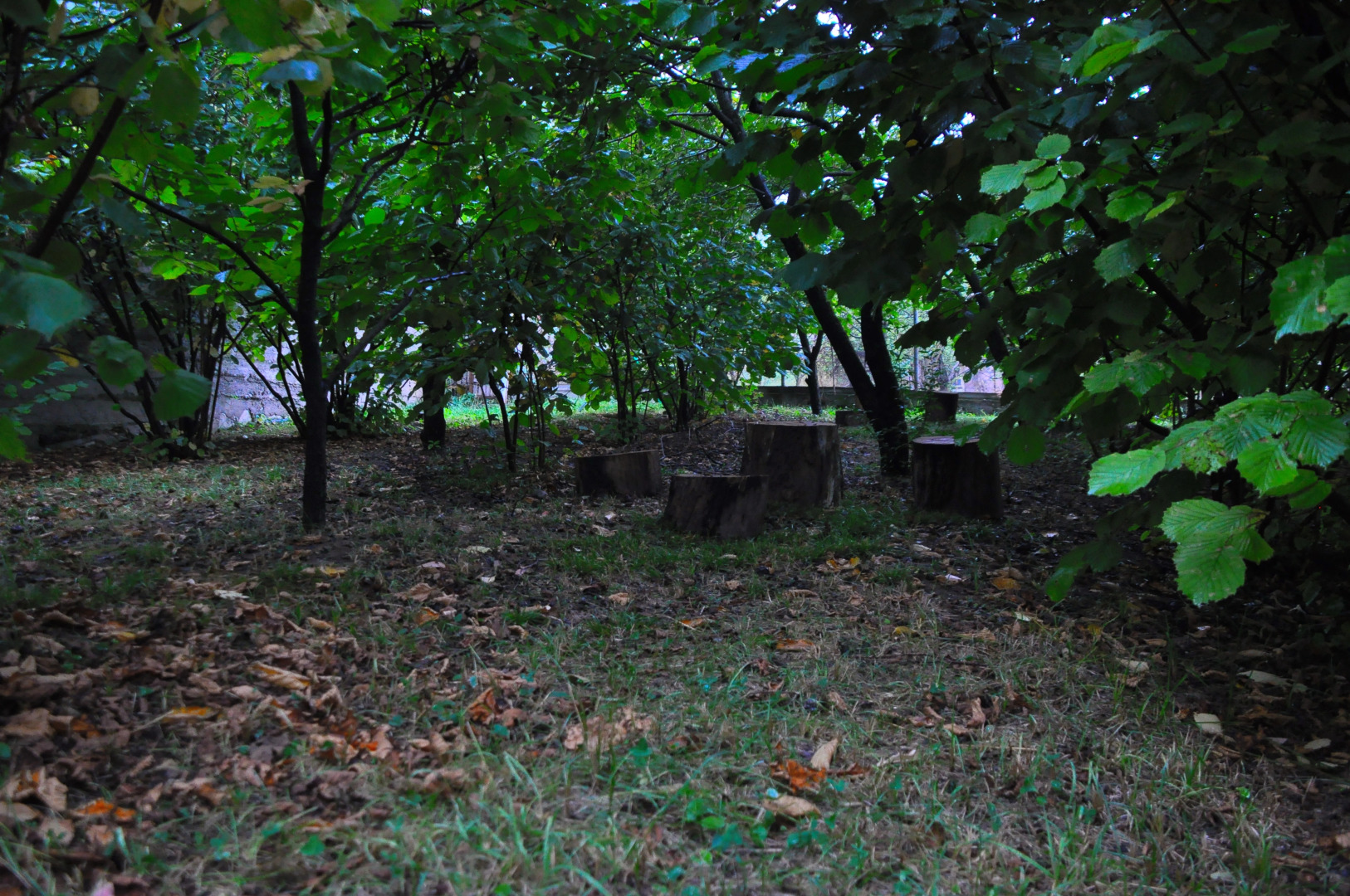 Гостевой дом Kamar