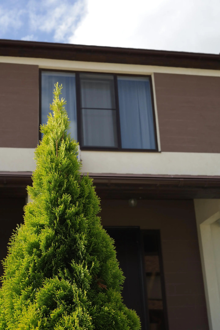 Гостевой дом Маскага