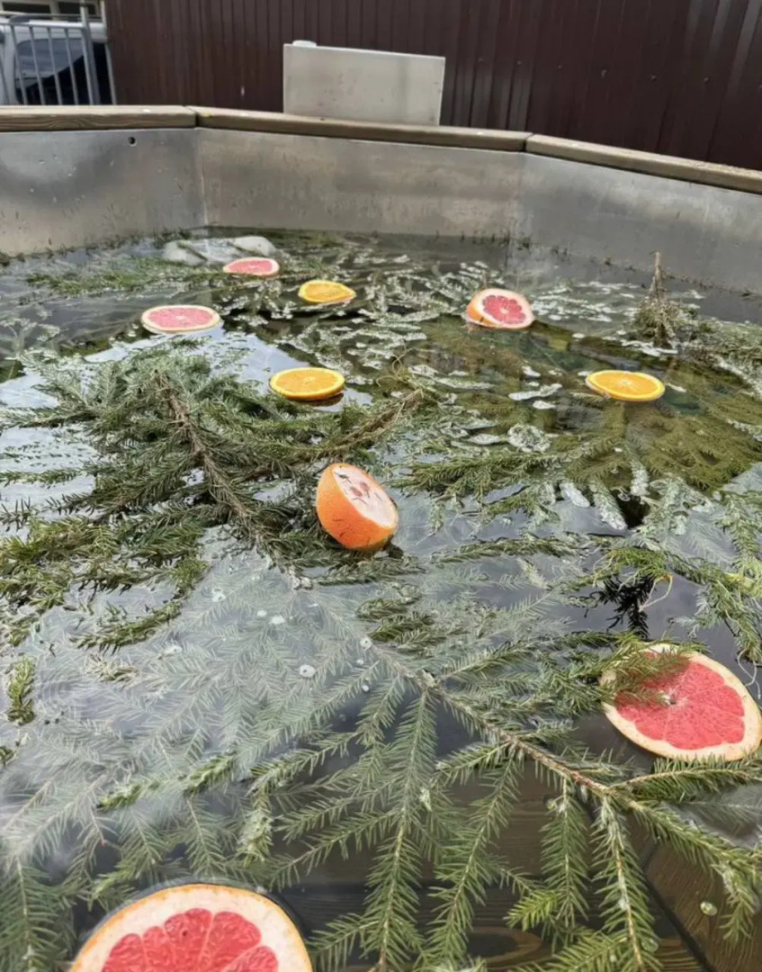 Гостевой дом Эко-дом у леса