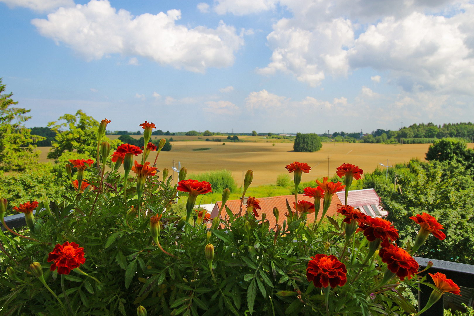 Апартаменты на Тихой