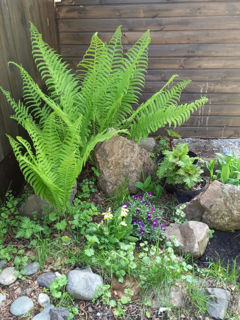 Гостевой дом Усадьба Добрыня