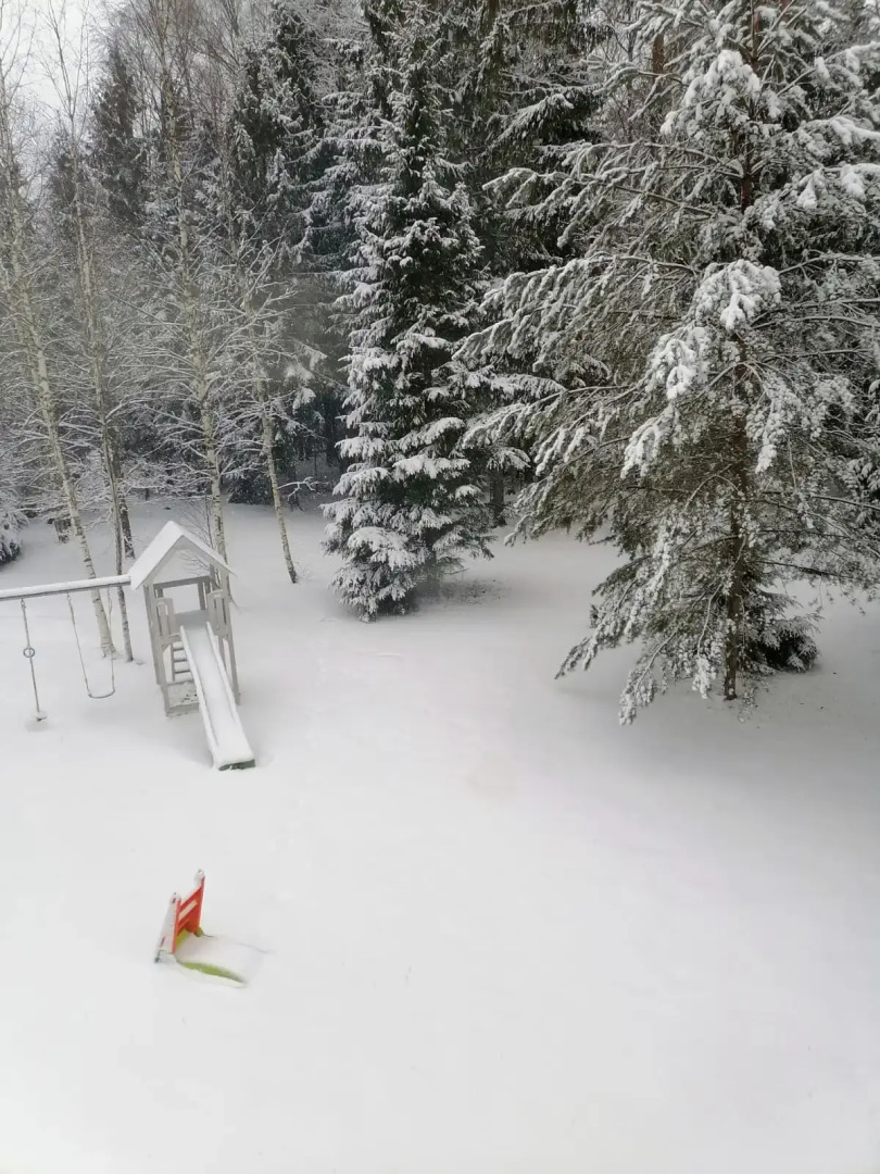 Частный дом Уютный загородный дом в стиле Шале