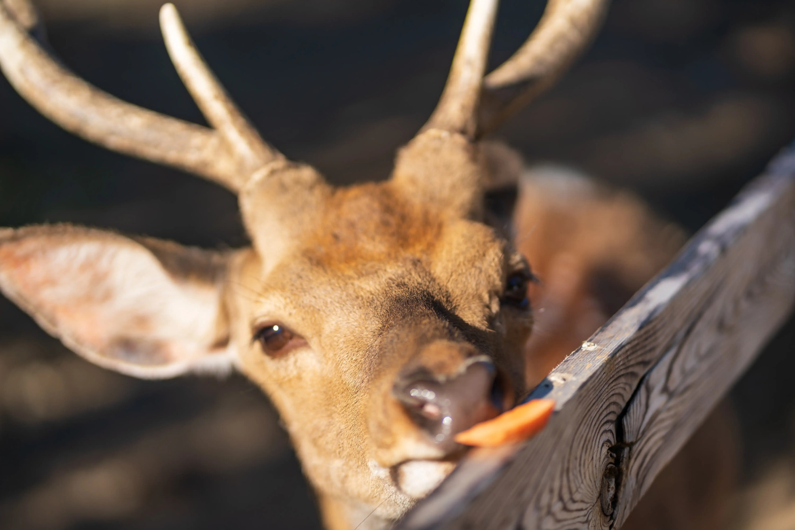 Отель Комплекc Загородного отдыха  Место 7