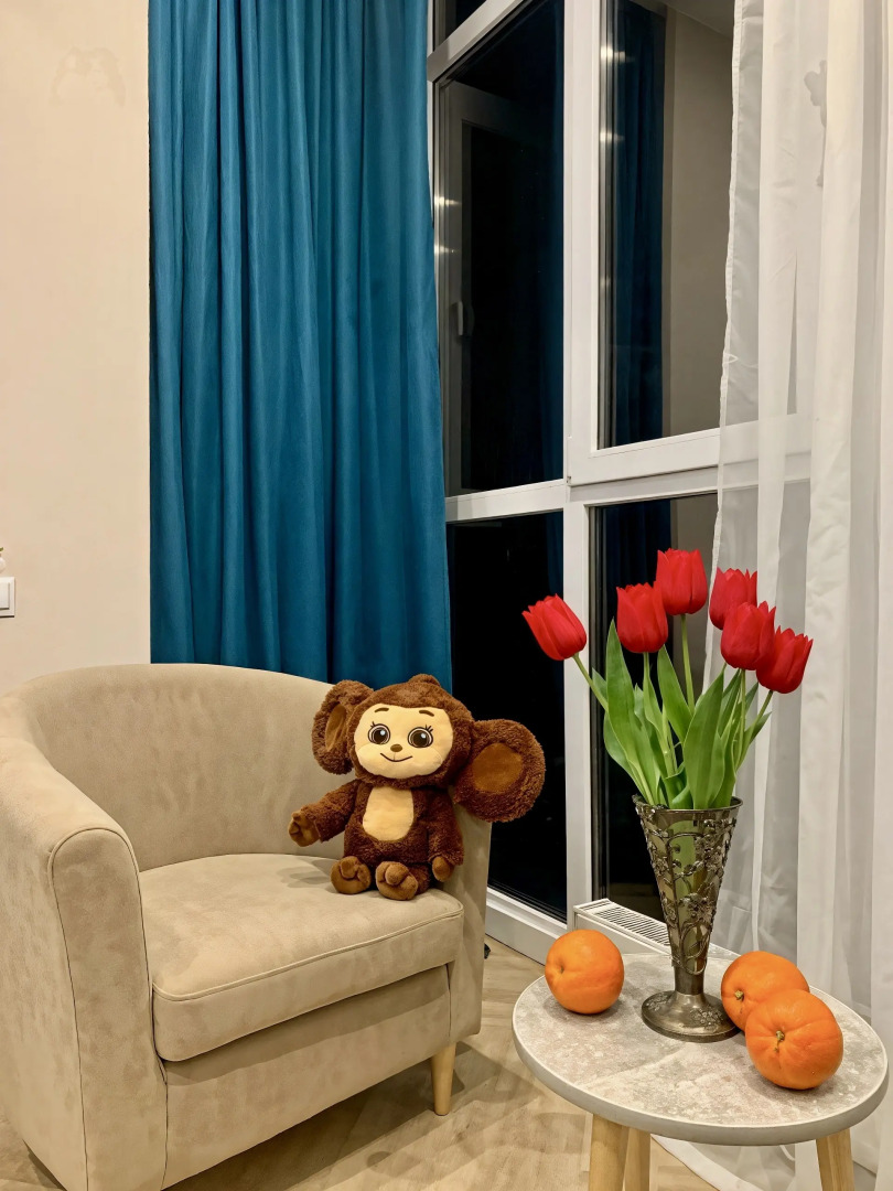 Квартира 300 метров Кисловодский парк