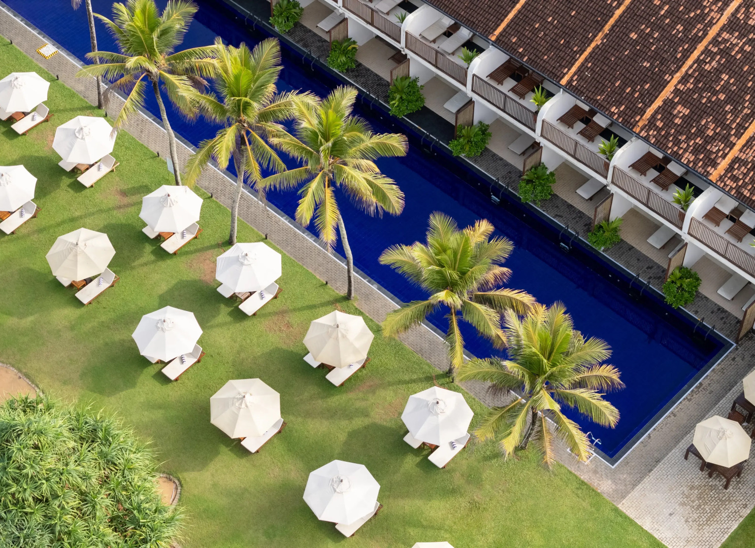 Отель EKHO Surf Bentota