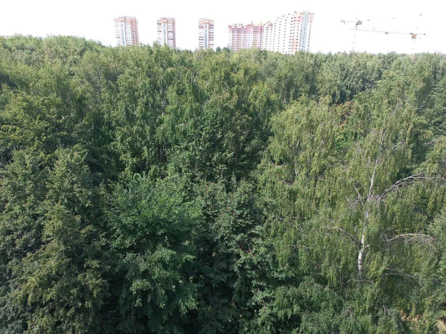 Апартаменты Home Away From Home