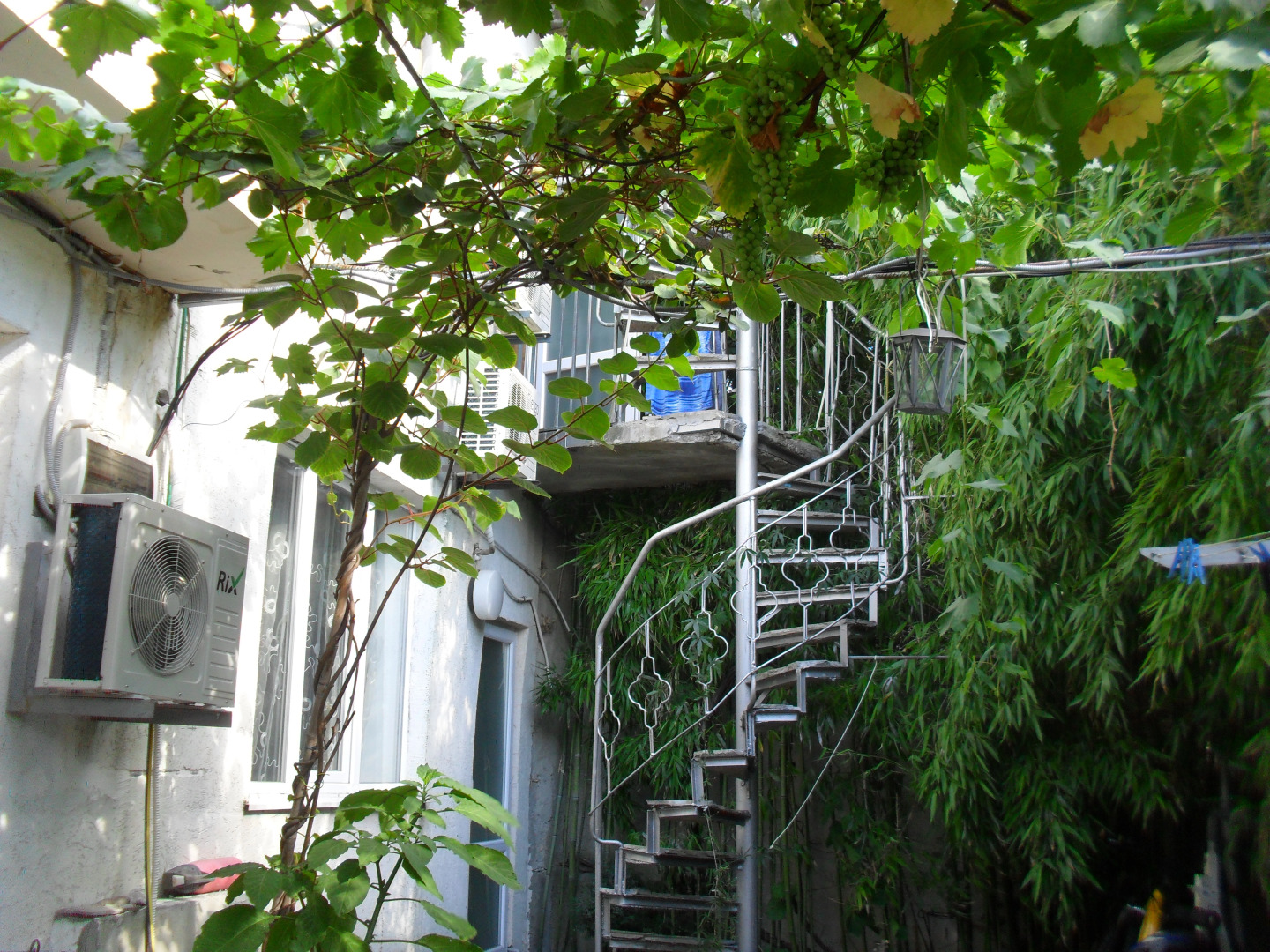 Меблированные комнаты Волна