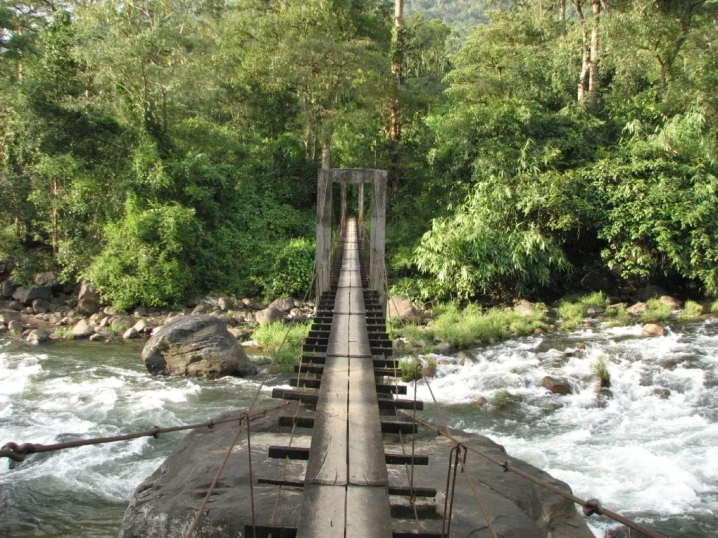 Moon Hill Resort Munnar ( Nature Retreat )