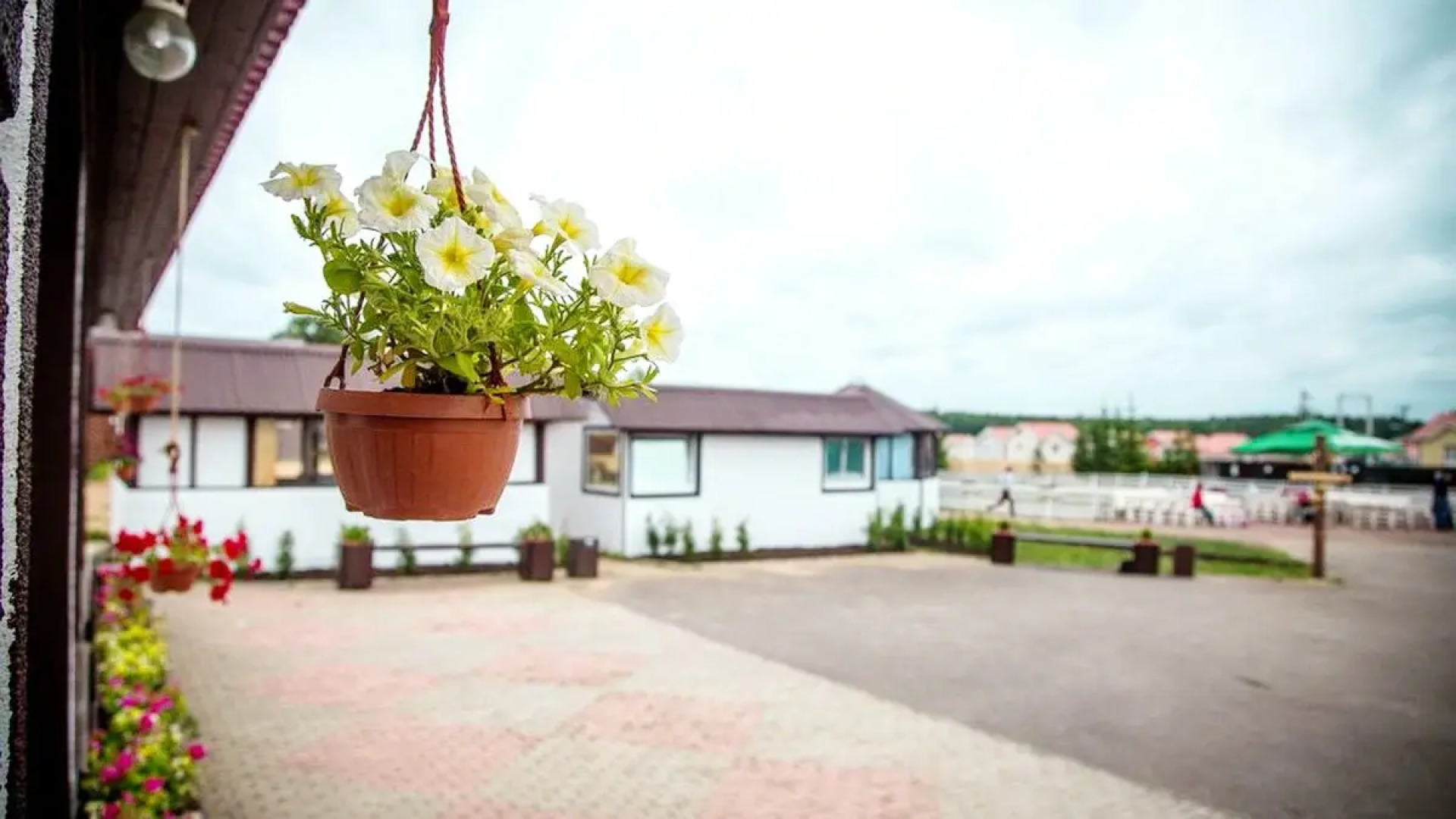 Меблированные комнаты Сойкино