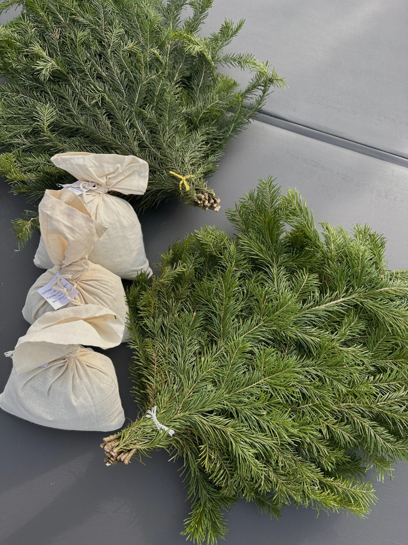 Частный дом Skandi Life