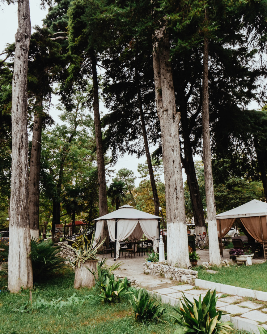 Отель Пицунда